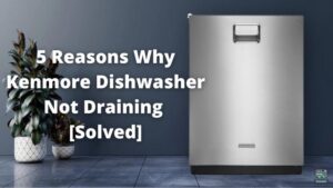 5 Reasons Why Kenmore Dishwasher Not Draining [Solved]